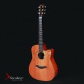 Swallow Acoustic Guitar D700ce