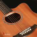 Swallow Acoustic Guitar D900ce