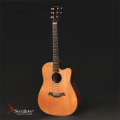 Swallow Acoustic Guitar D900ce