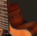 Swallow Acoustic Guitar D912ce