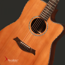 Swallow Acoustic Guitar D912ce