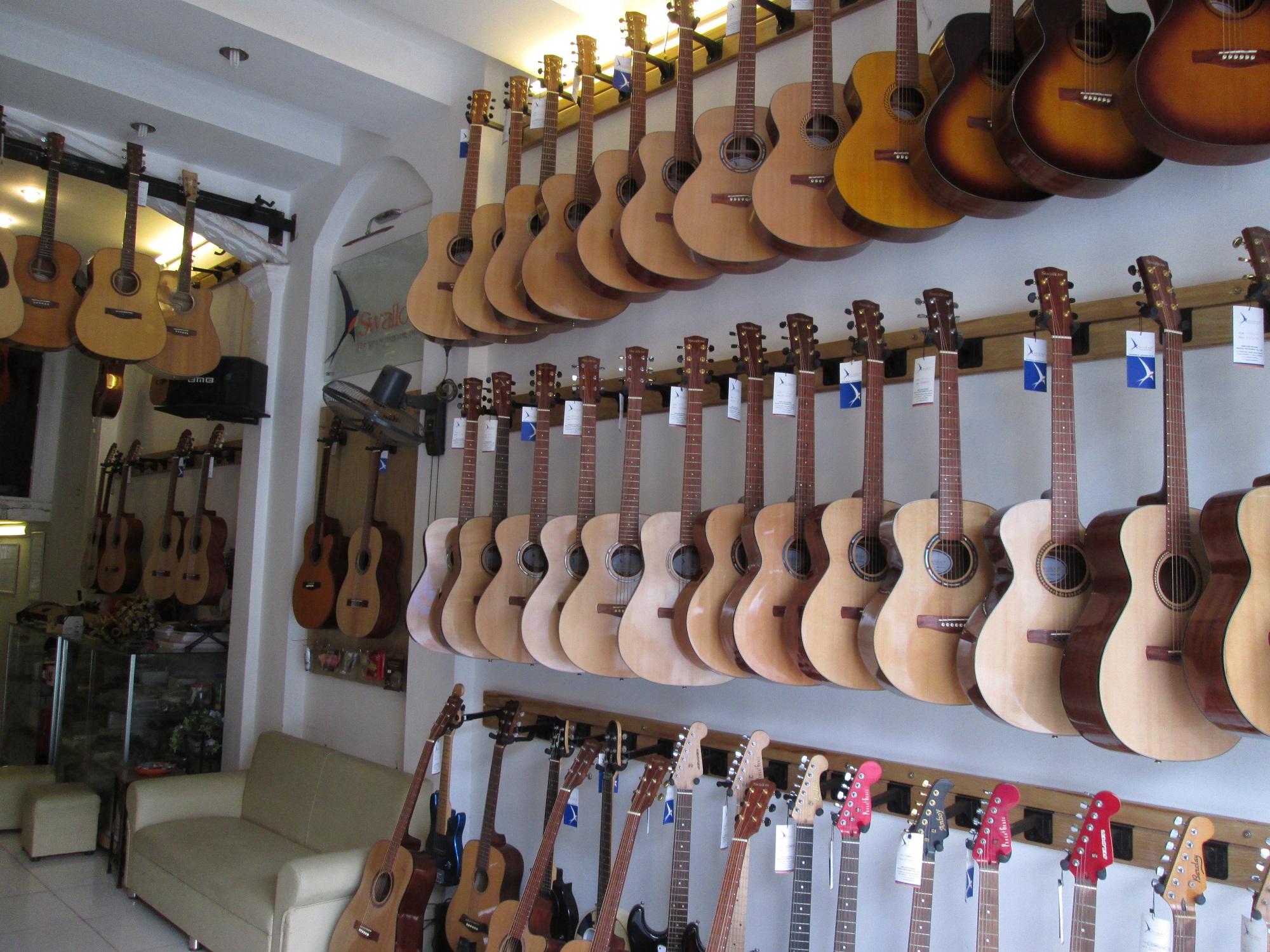 Showroom Swalow Guitars