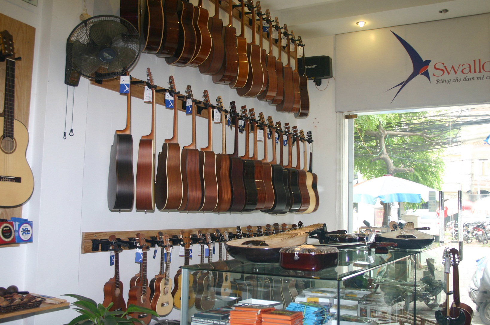 Showroom Swalow Guitars