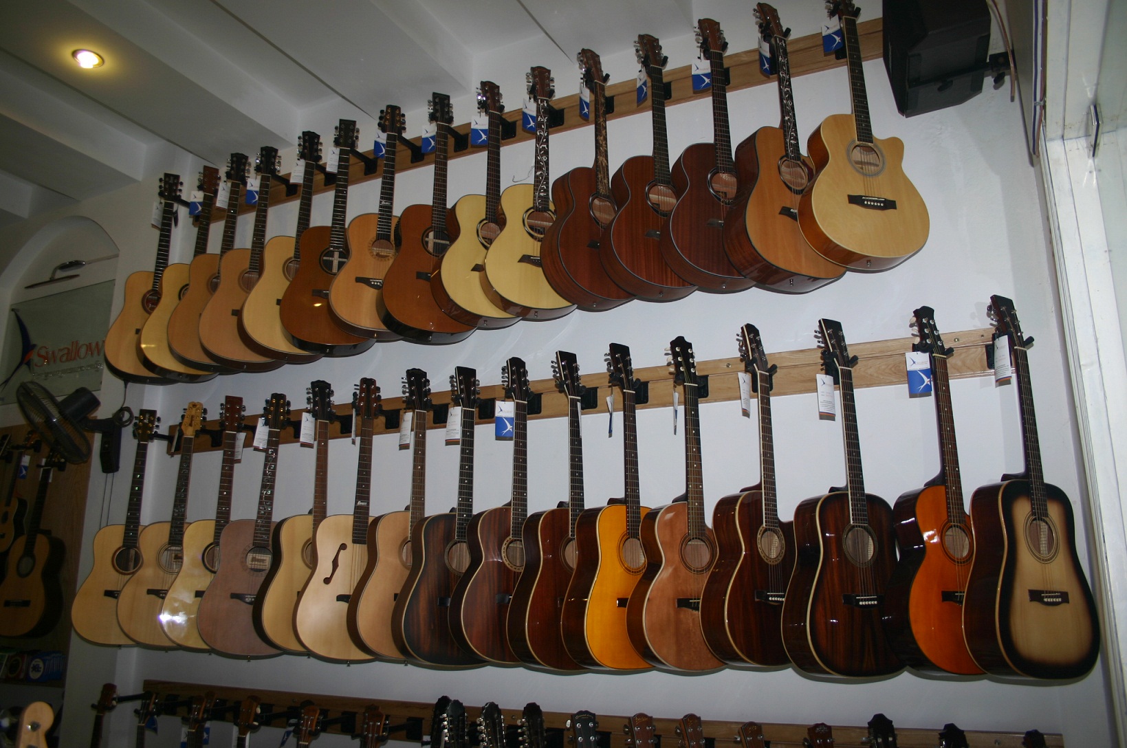 Showroom Swalow Guitars
