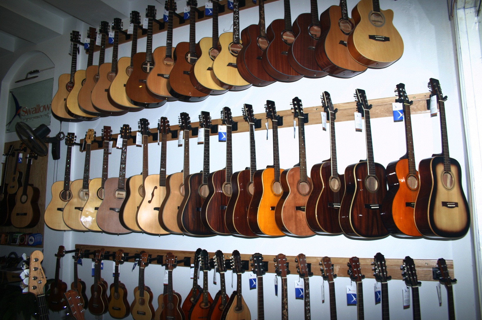 Showroom Swalow Guitars