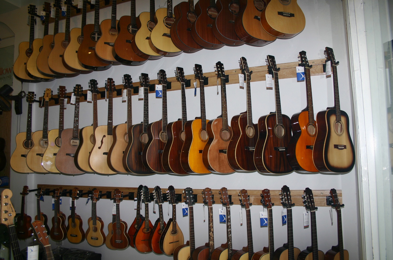 Showroom Swalow Guitars