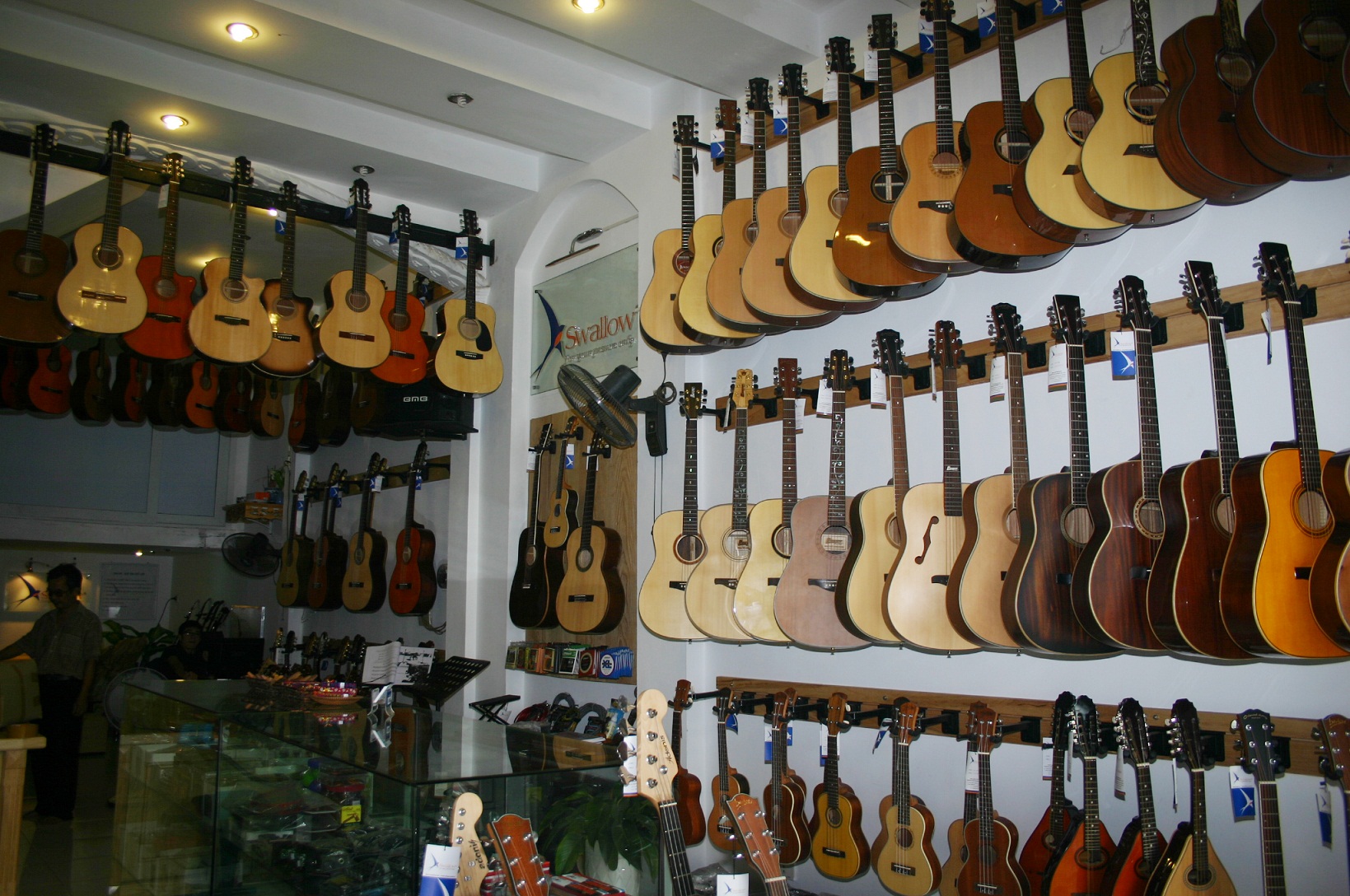 Showroom Swalow Guitars