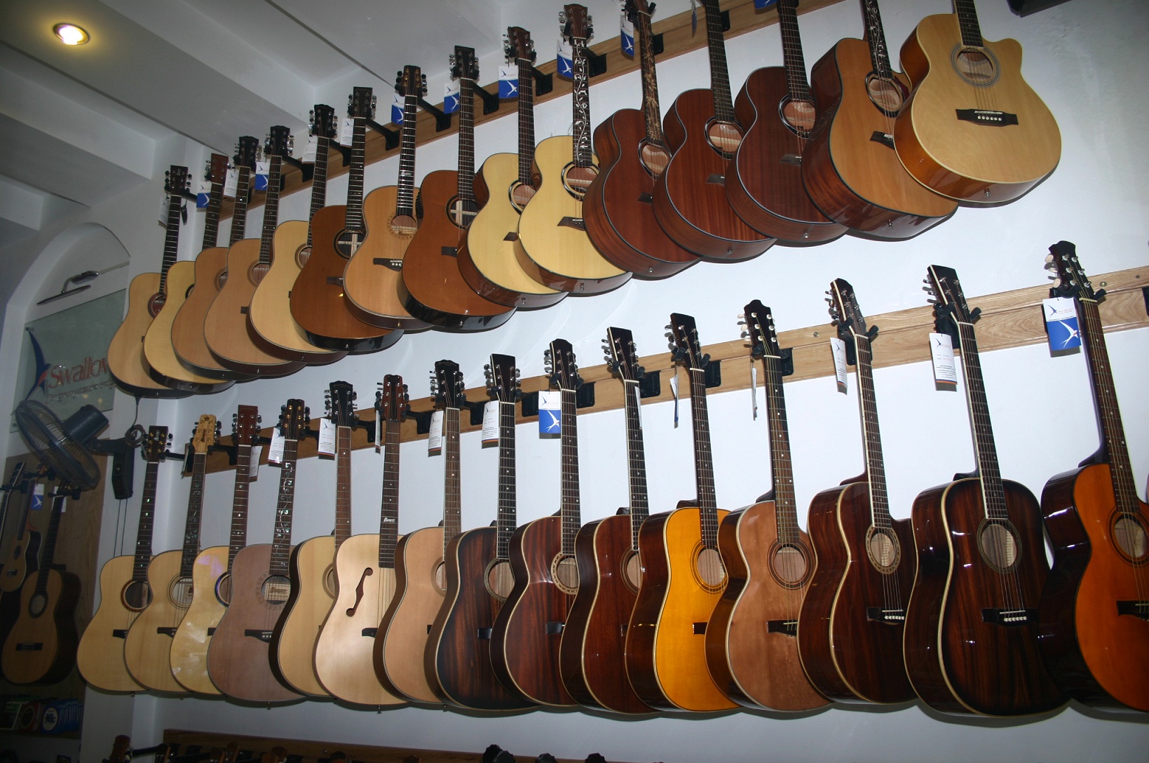 Showroom Swalow Guitars