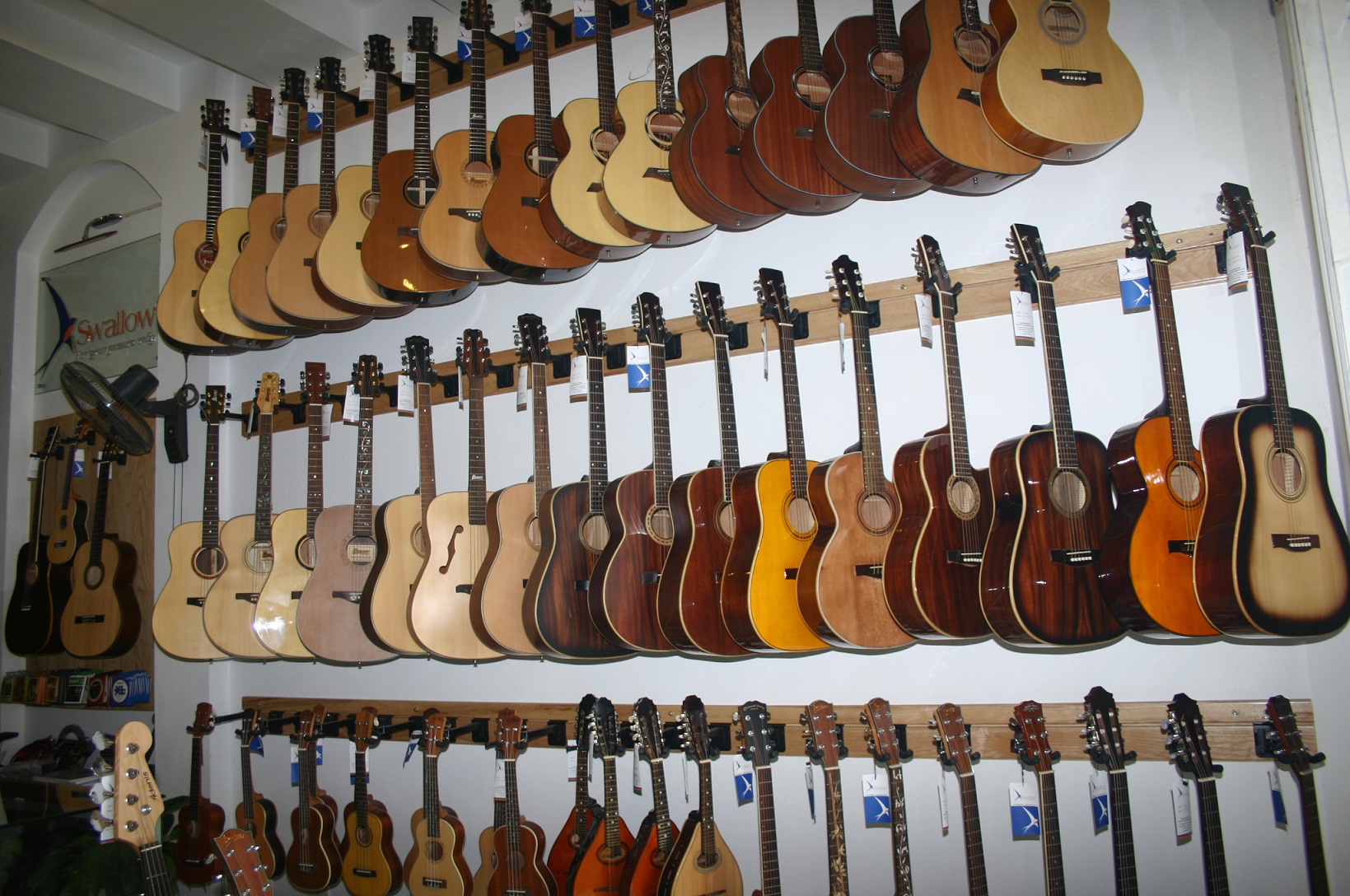 Showroom Swalow Guitars
