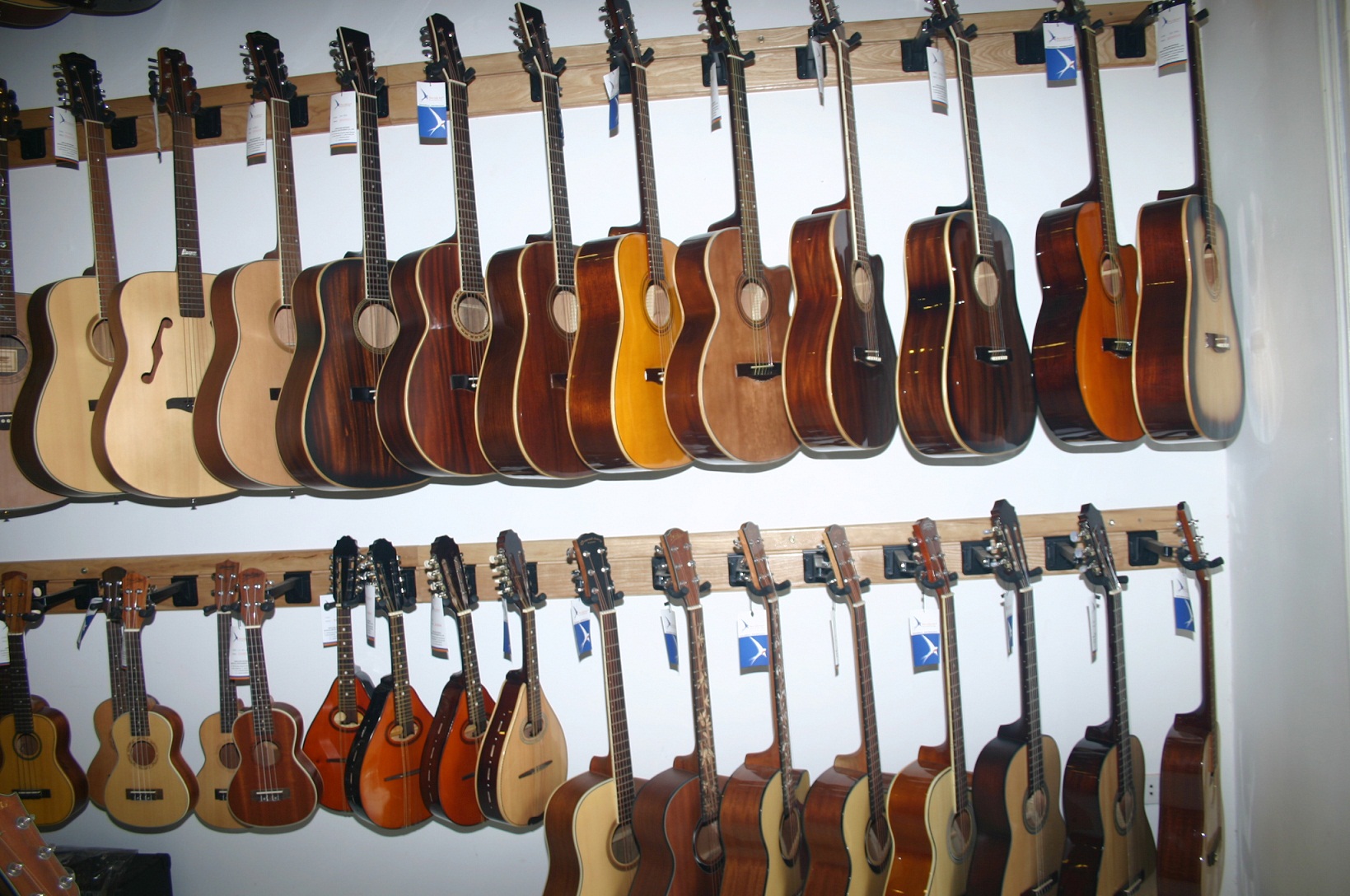 Showroom Swalow Guitars