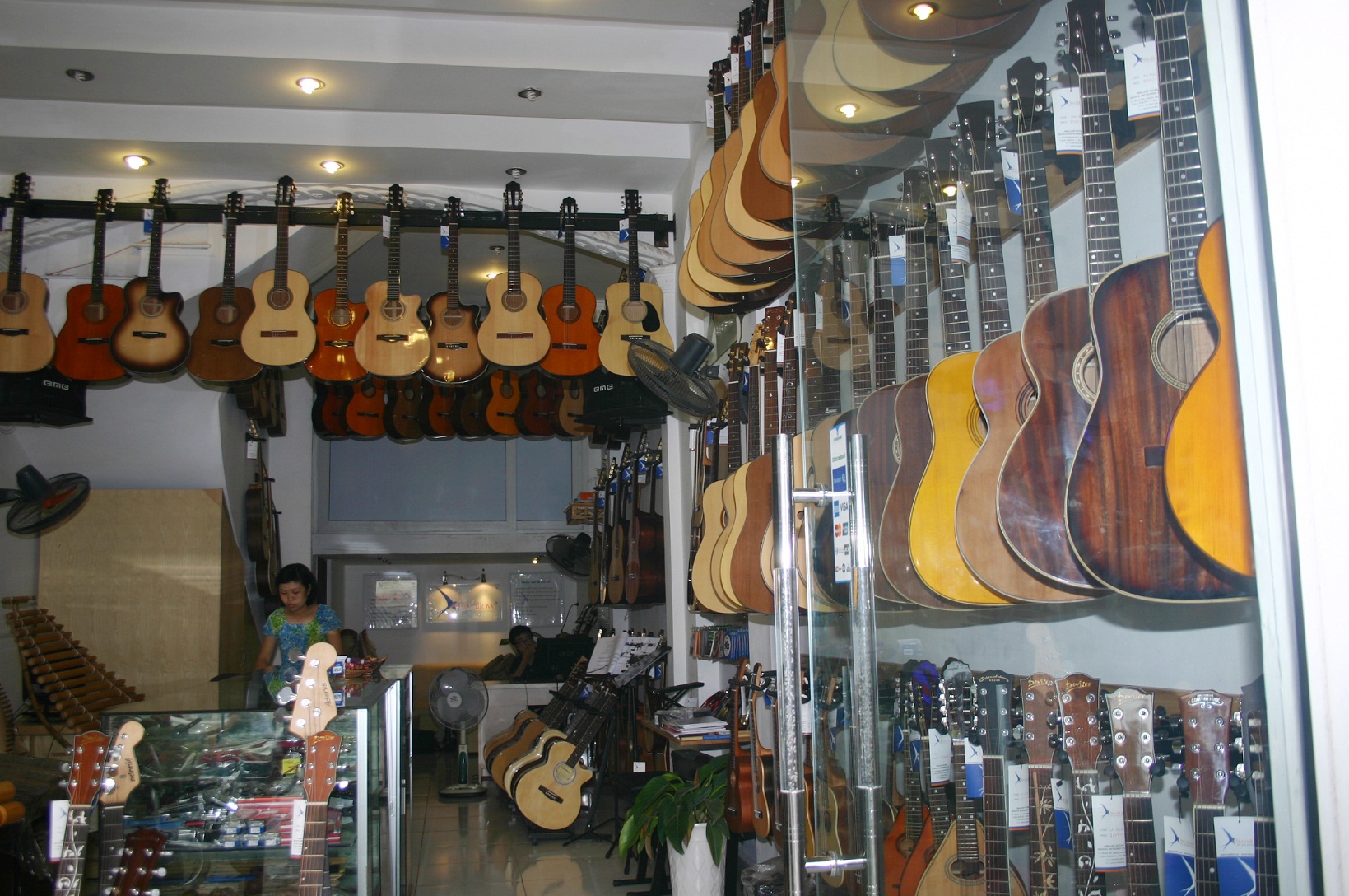 Showroom Swalow Guitars