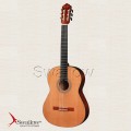 Swallow Classic Guitar CM01