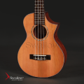 Swallow Ukulele UT700ce 