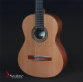 Swallow Classic Guitar C750